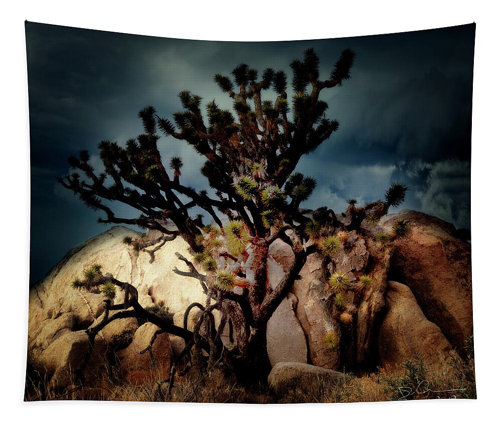 Evie Tapestry featuring the photograph Joshua Tree at Midnight by Evie Carrier