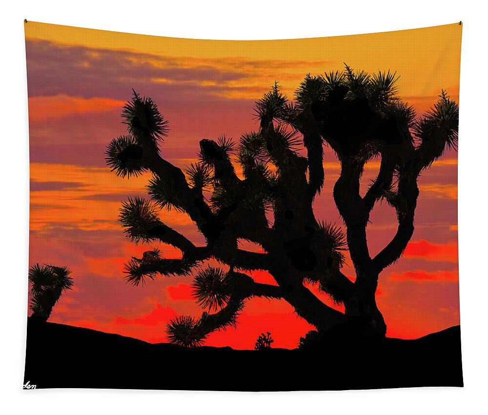 Arid Climate Tapestry featuring the photograph Joshua Tree at Sunset by Jeff Goulden