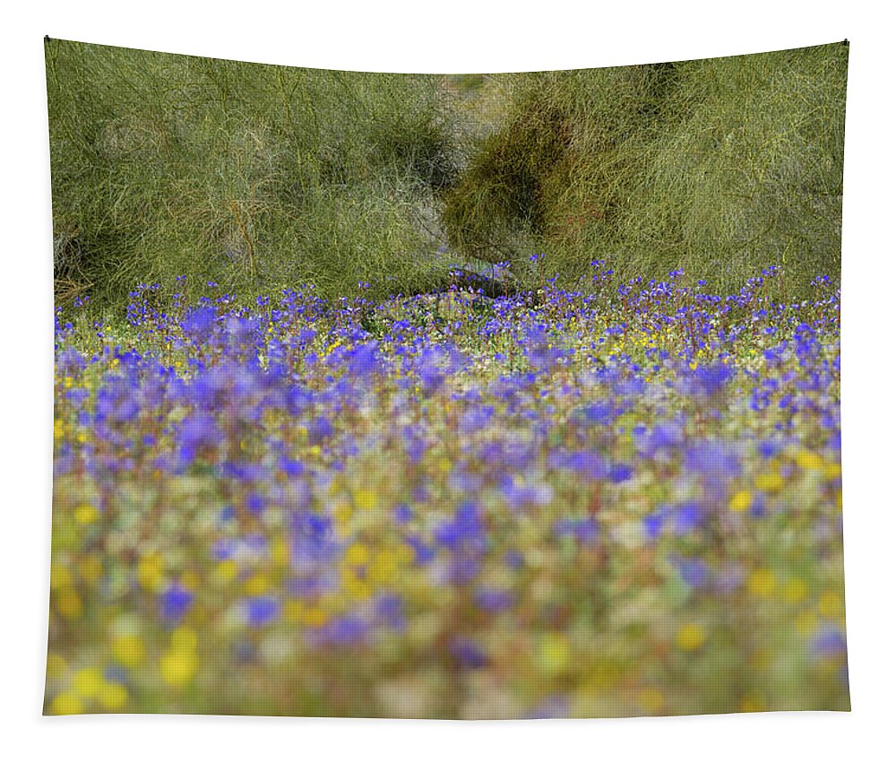 Wildflowers Tapestry featuring the photograph Joshua Tree - Desert Bells and Palo Verde by Alexander Kunz