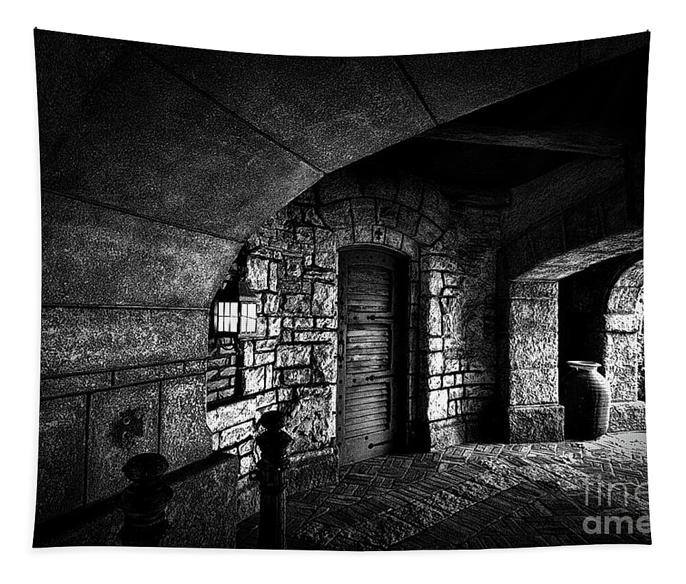 Photograph Tapestry featuring the photograph Julie's Photo Monochrome-394 by Fine art photographer JULIE