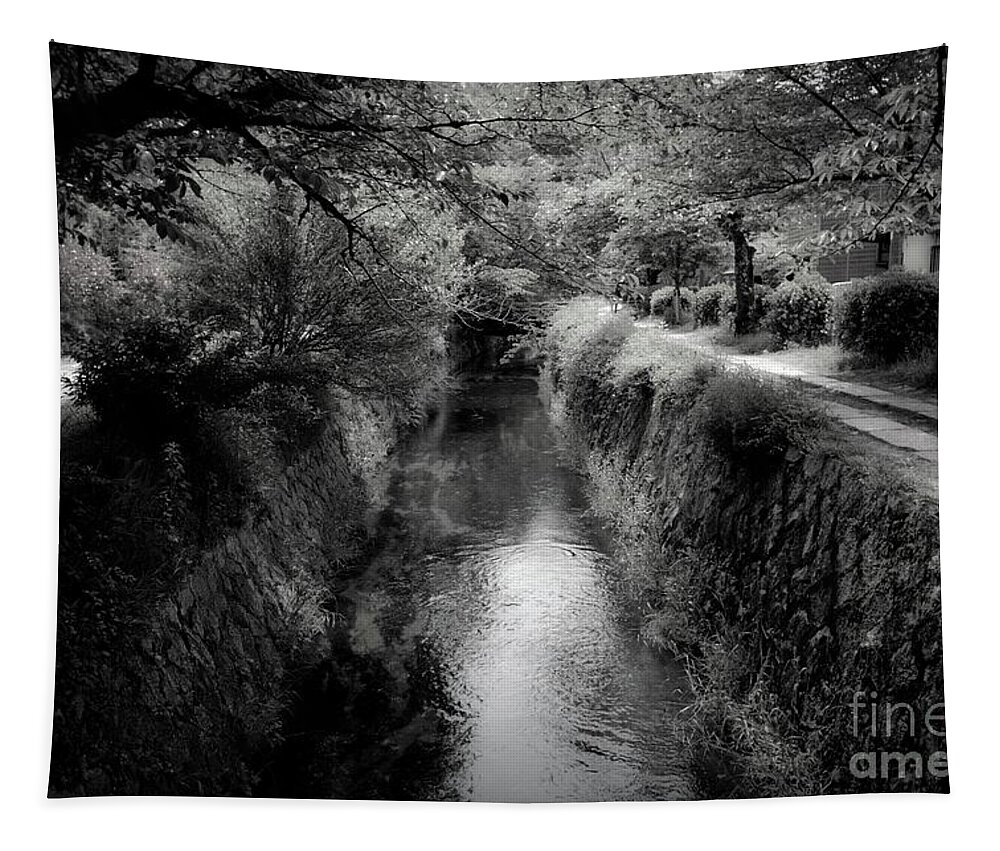 Photograph Tapestry featuring the photograph Julie's Photo Monochrome-414 by Fine art photographer JULIE