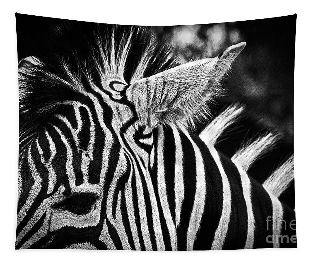 Photograph Tapestry featuring the photograph Julie's Photo Monochrome-418 by Fine art photographer JULIE