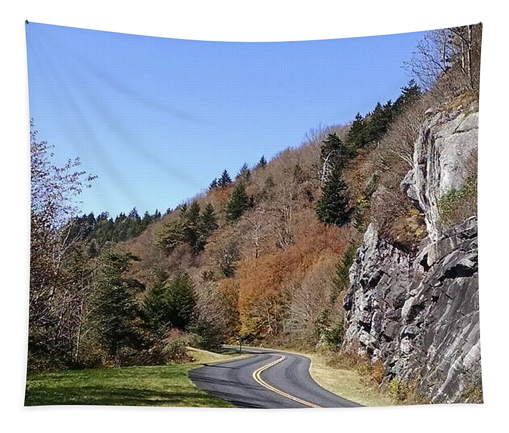 Blue Ridge Parkway Tapestry featuring the photograph Just Around the Bend by Allen Nice-Webb