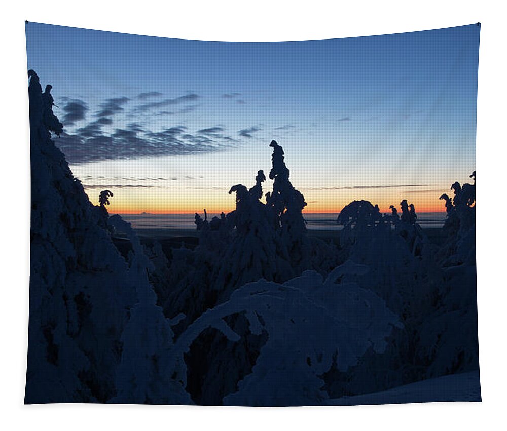 Sunrise Tapestry featuring the photograph Just Before Sunrise by Andreas Levi