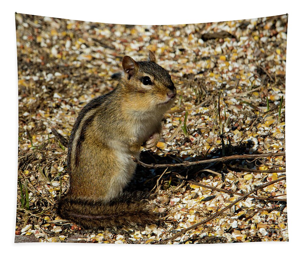 Chipmunk Tapestry featuring the photograph Just Checking things Out Chipmunk by Sandra J's