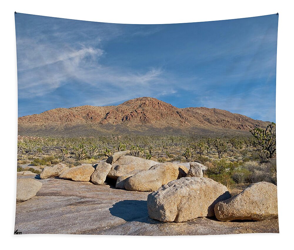 Agave Tapestry featuring the photograph Kessler Peak in the Mojave Desert by Jeff Goulden