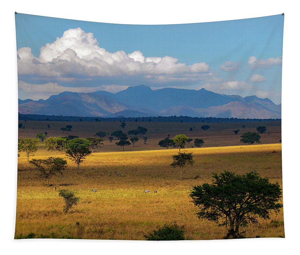 Kidepo Tapestry featuring the photograph Kidepo Gold by Peter Kennett