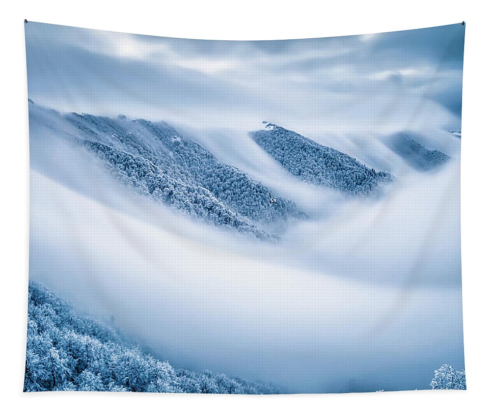 Balkan Mountains Tapestry featuring the photograph Kingdom Of the Mists by Evgeni Dinev