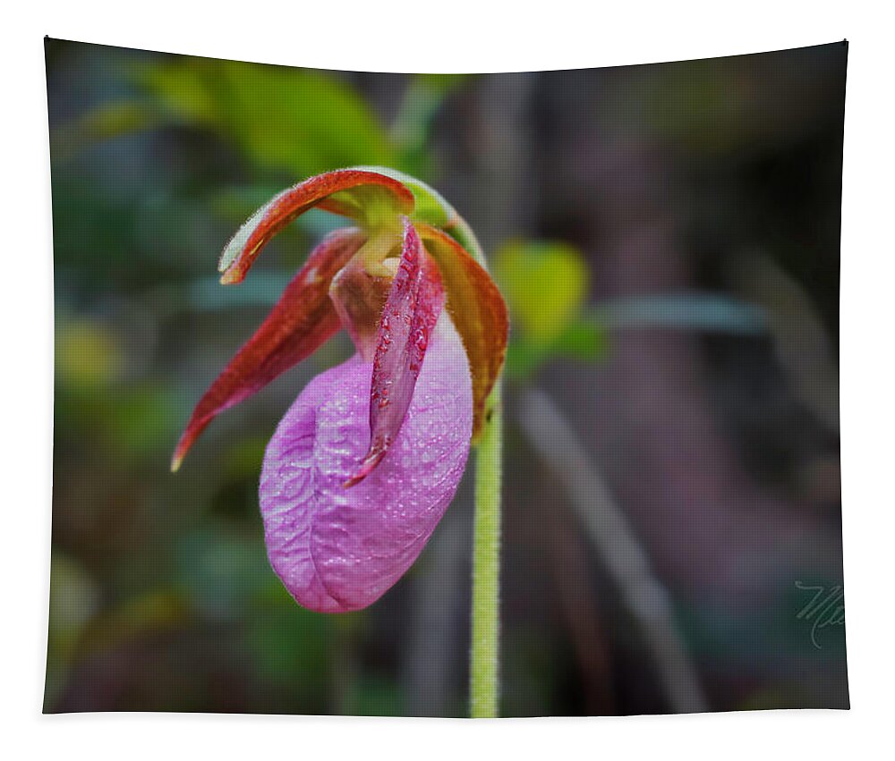 Macro Photography Tapestry featuring the photograph Lady Slipper Orchid by Meta Gatschenberger