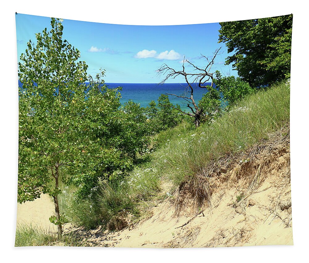 Water Tapestry featuring the photograph Lake Michigan Near Cowles Bog by Scott Kingery