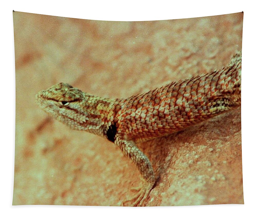 Travel Tapestry featuring the photograph Lake Powell Lizard by Karen Stansberry