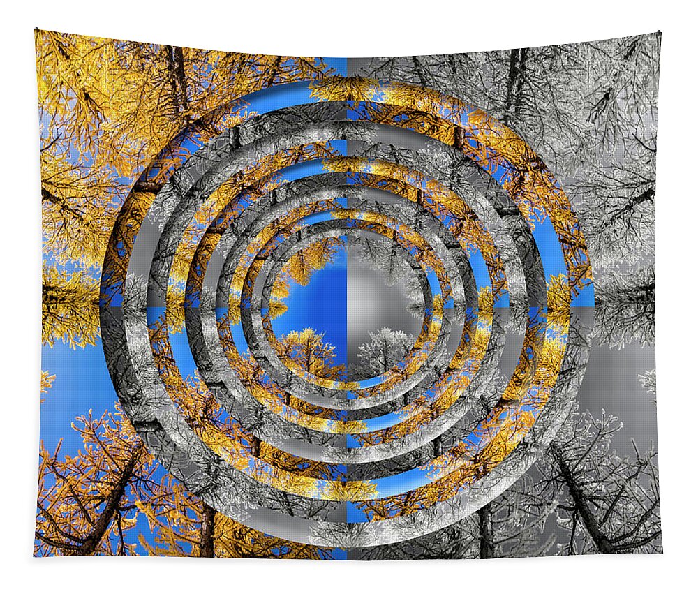 Evergreen Tapestry featuring the digital art Larches Color to Black and White Reflection Circles by Pelo Blanco Photo