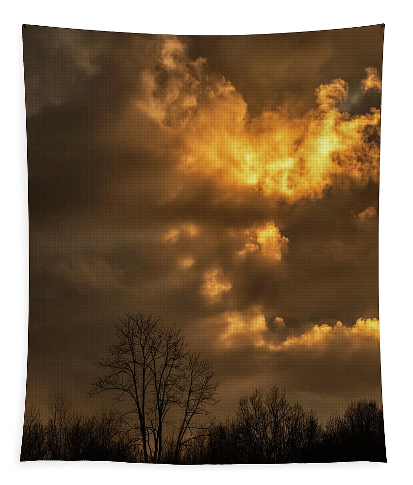 Winter Tapestry featuring the photograph Last Sunset of the Year by Thomas R Fletcher