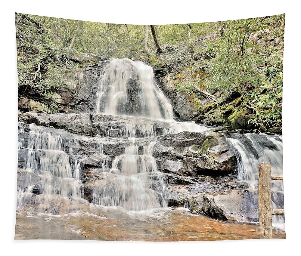 Waterfalls Tapestry featuring the photograph Laurel Falls by Merle Grenz