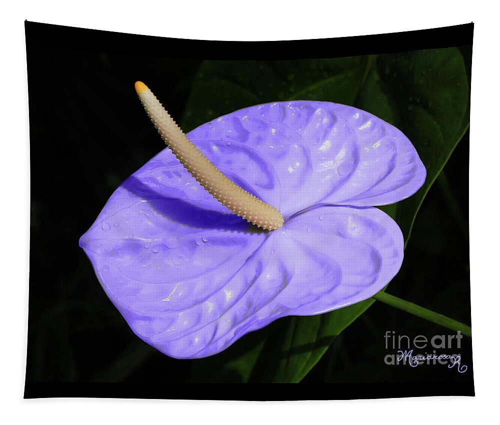 Nature Tapestry featuring the photograph Lavender Anthurium by Mariarosa Rockefeller
