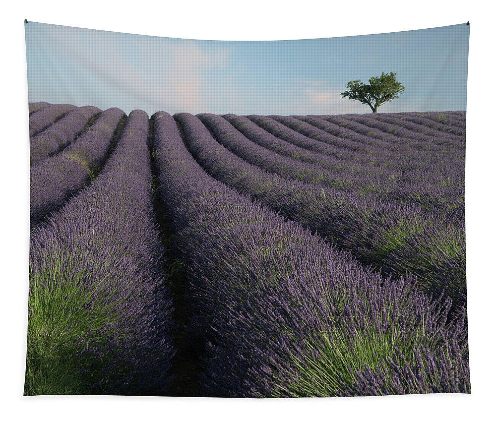 Lavender Tapestry featuring the photograph Lavender Romance by Rob Hemphill