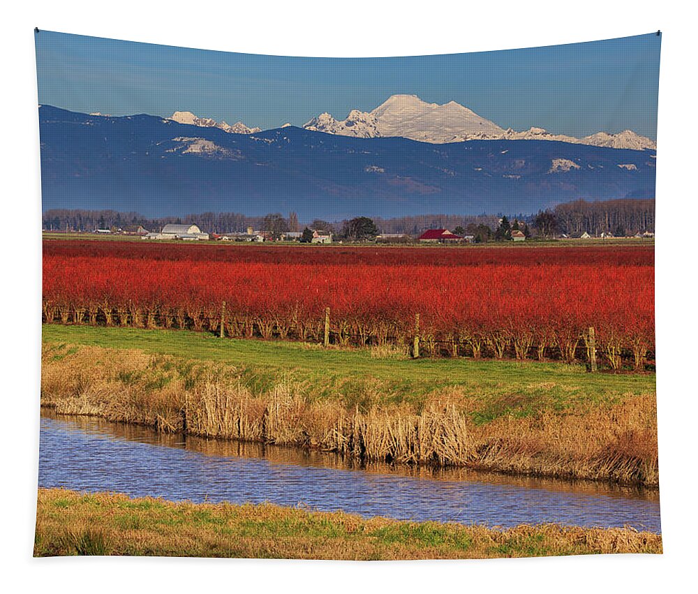 Landscape Tapestry featuring the photograph Layer Cake by Briand Sanderson