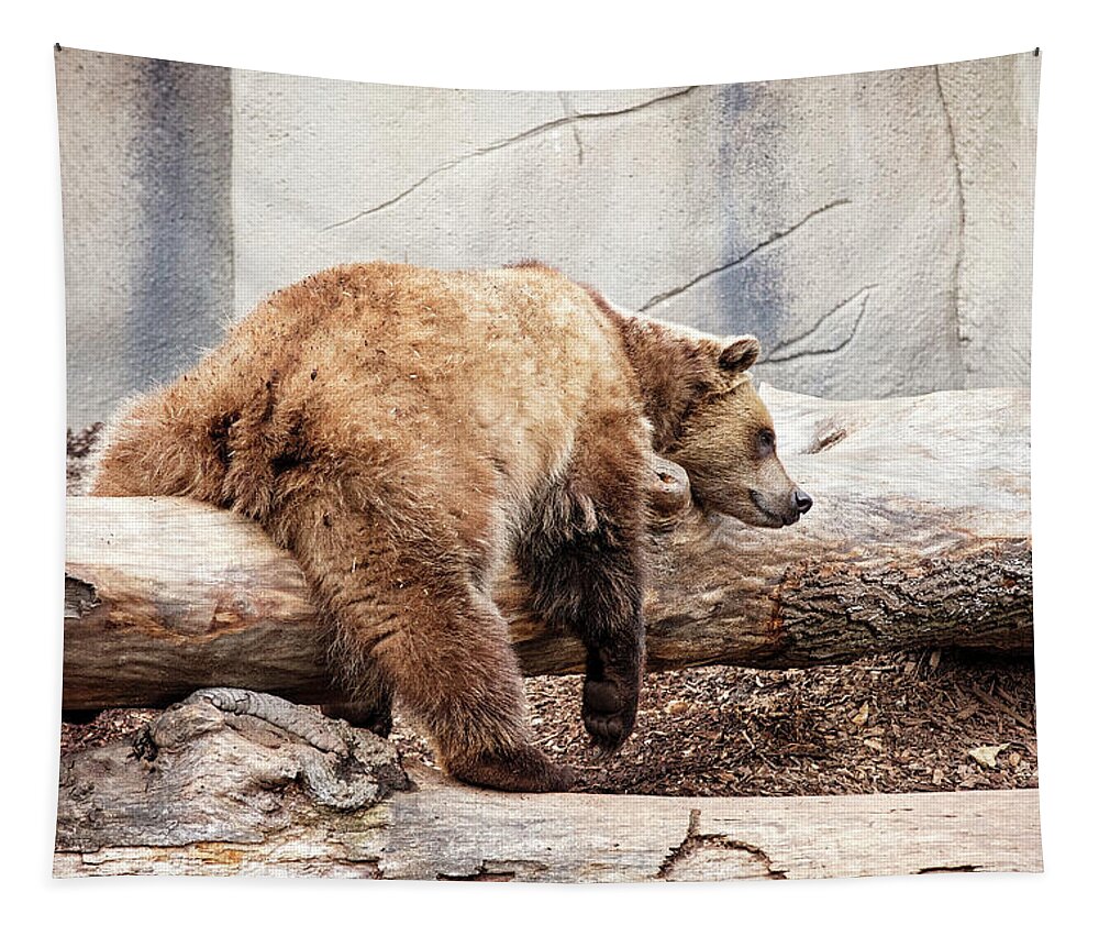 Bear Tapestry featuring the photograph Lazy Bear by Deborah Penland