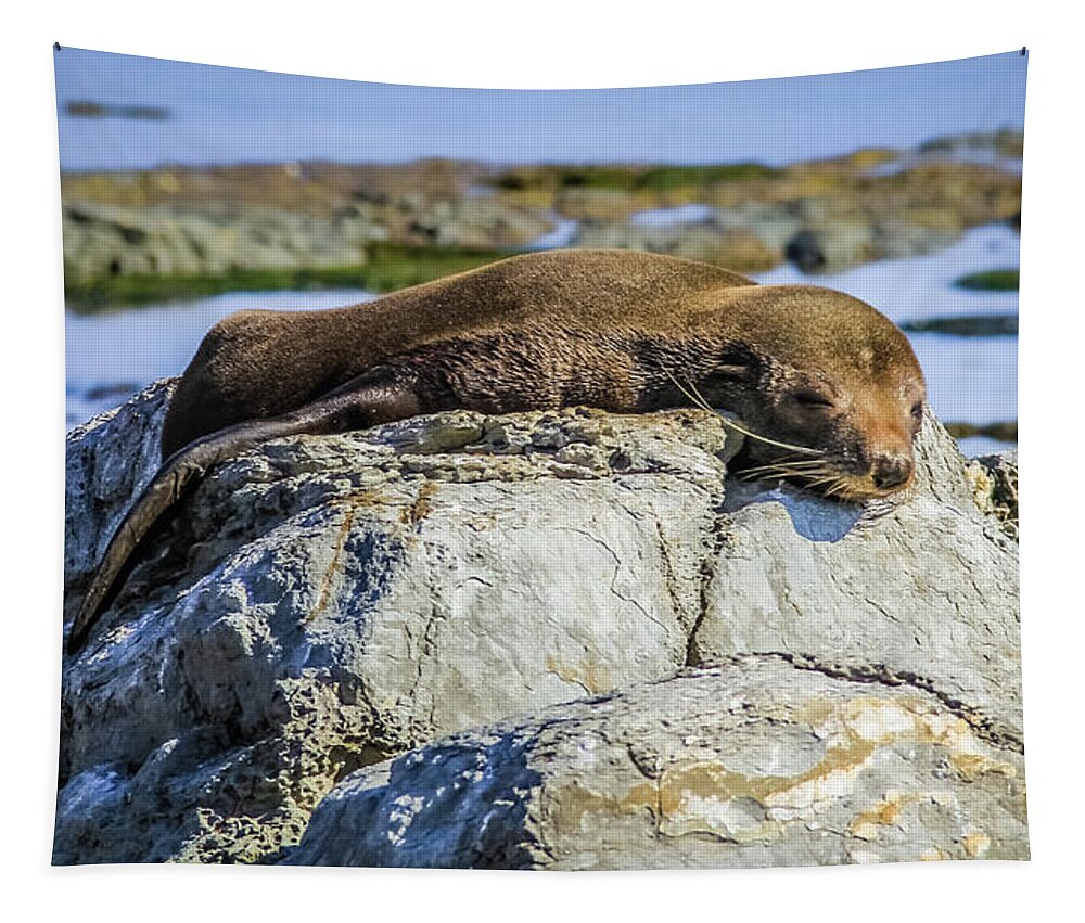 Seal Tapestry featuring the photograph Lazy fur seal on a rock, Cape Foulwind, New Zealand by Lyl Dil Creations