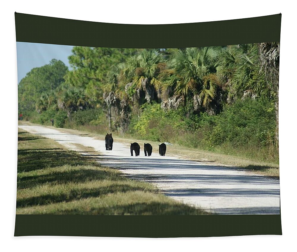 Florida Tapestry featuring the photograph Leader of the Pack by Lindsey Floyd