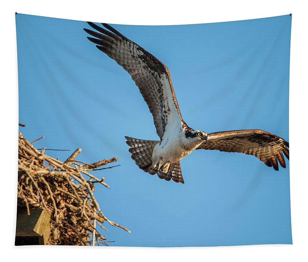 Nature Tapestry featuring the photograph Leaving The Nest by Cathy Kovarik