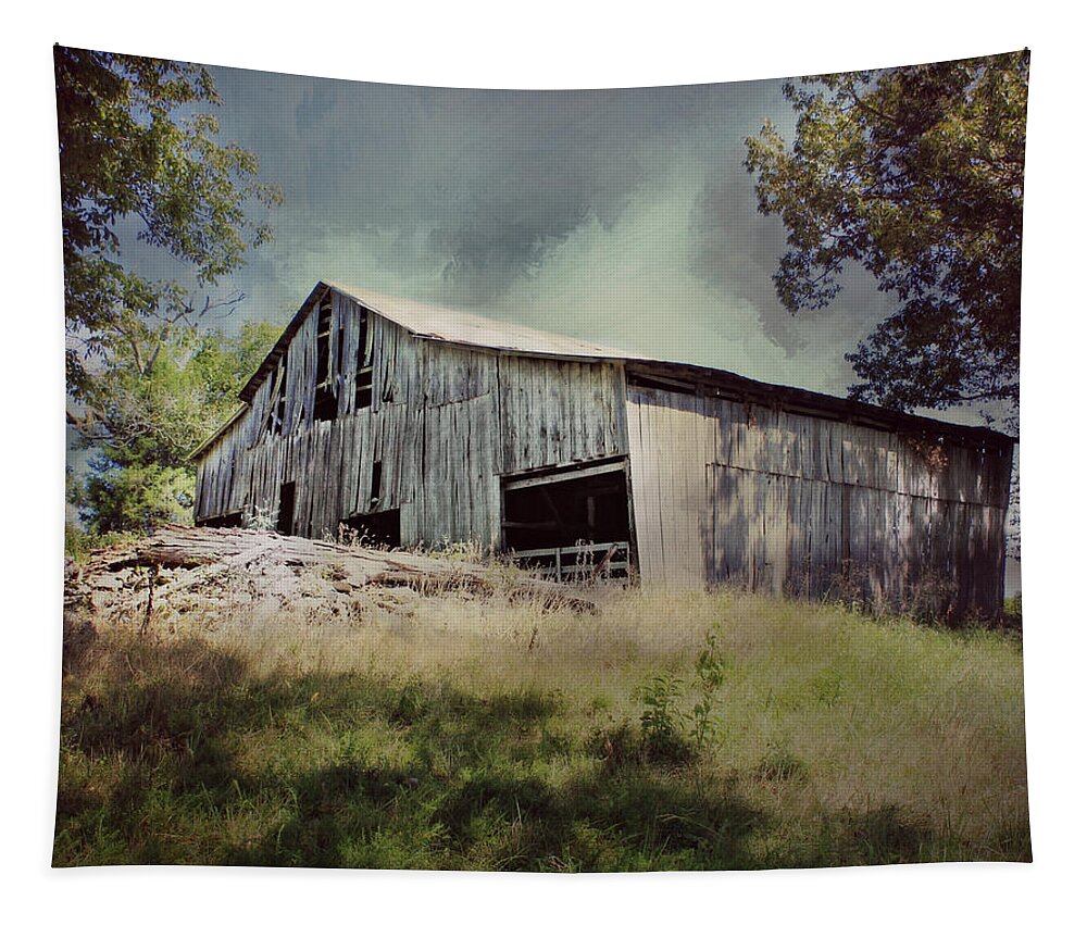 Barn Tapestry featuring the photograph Left Behind by Julie Hamilton