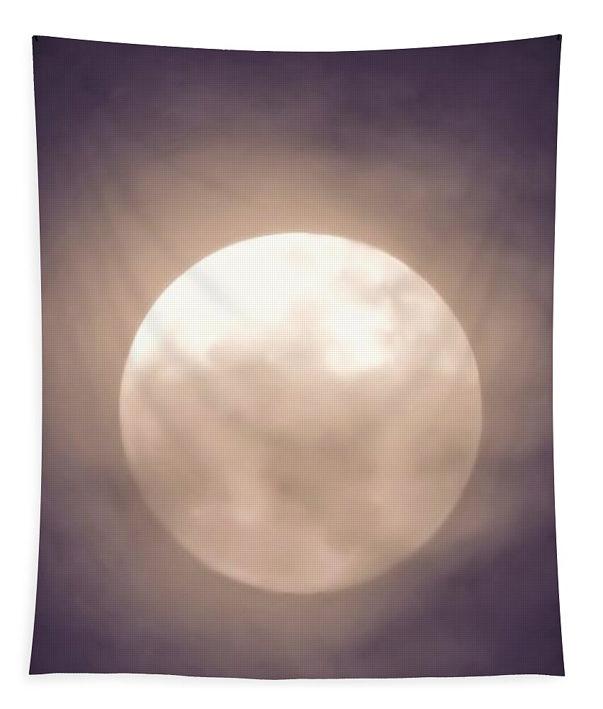 Arizona Tapestry featuring the photograph Leo Indigo-Blue Super Moon by Judy Kennedy