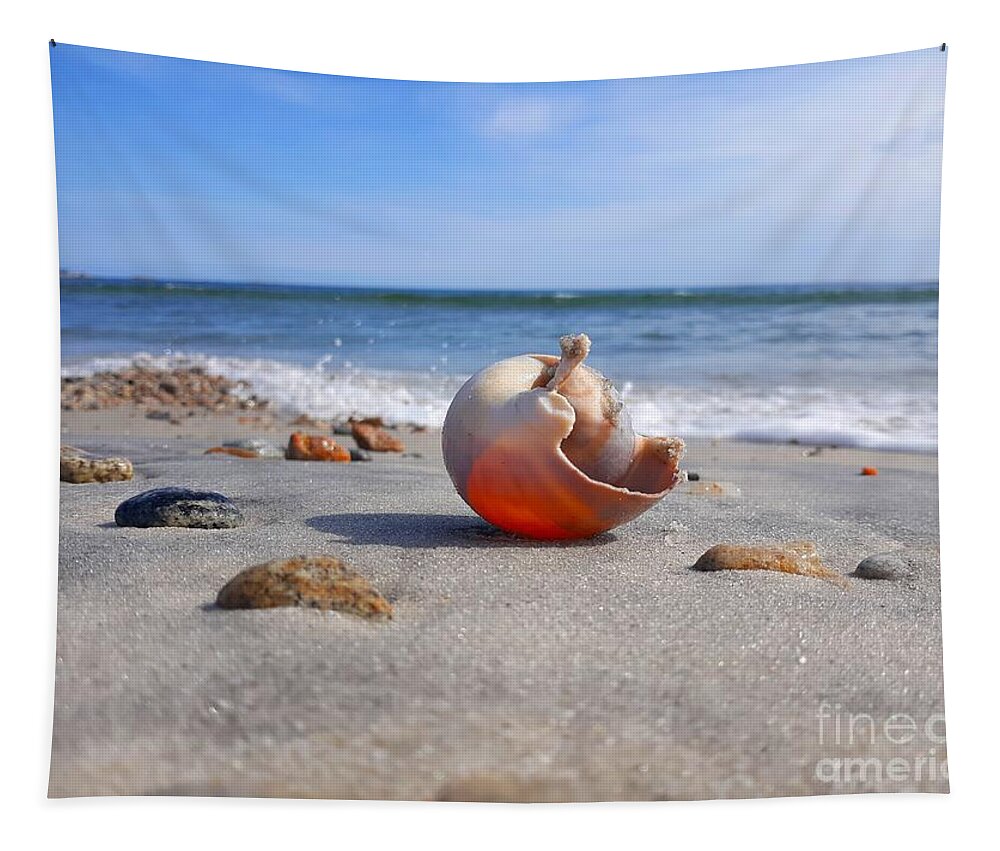 Shell Tapestry featuring the photograph Let The Sunshine In/ Inner Peace by Dani McEvoy