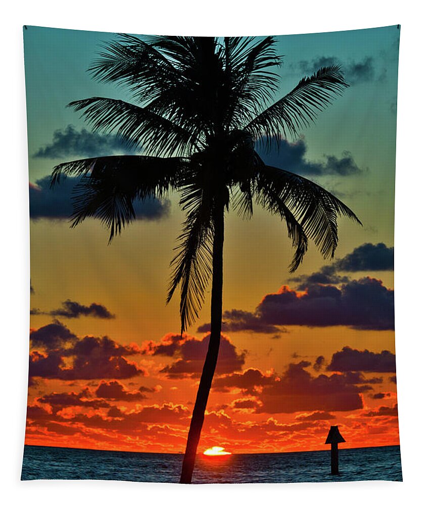 Sunsets Tapestry featuring the photograph Let your colors shine by Edgar Estrada
