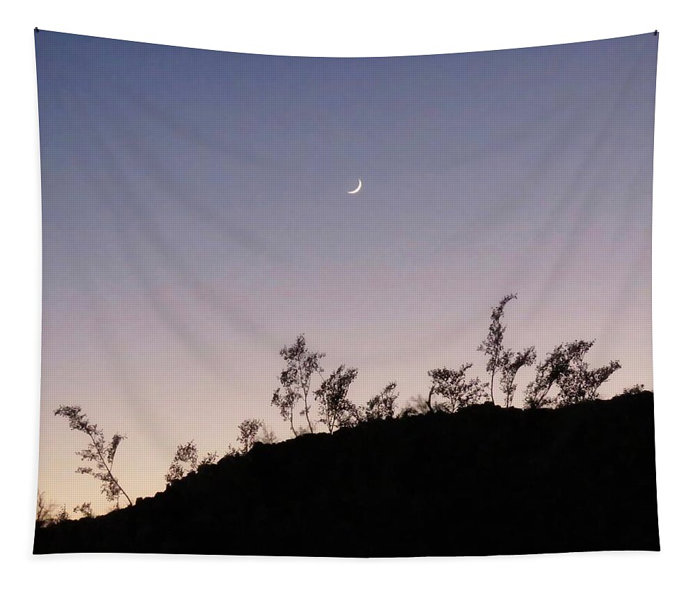 Arizona Tapestry featuring the photograph Libra Twilight Crescent by Judy Kennedy