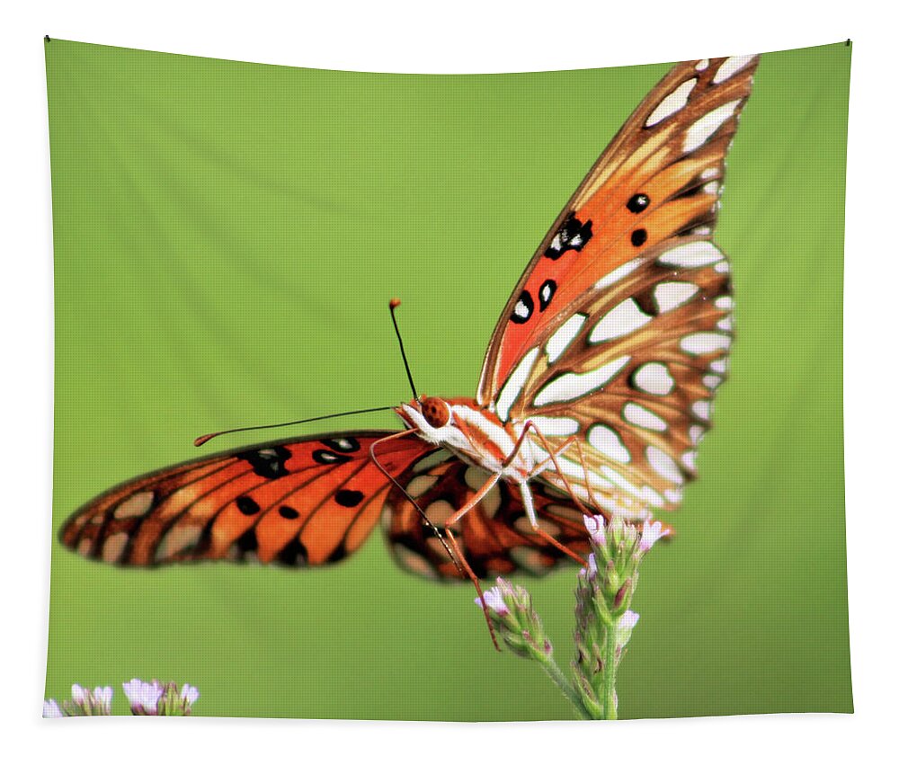 Butterfly Tapestry featuring the photograph Life in Balance by Michael Allard