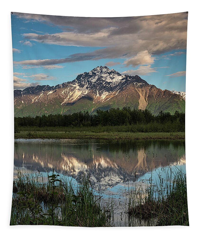 Alaska Tapestry featuring the photograph Life In Palmer by Robert Fawcett