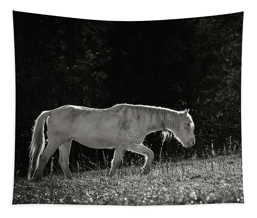 Horse Tapestry featuring the photograph Life is an Uphill Battle by Holly Ross