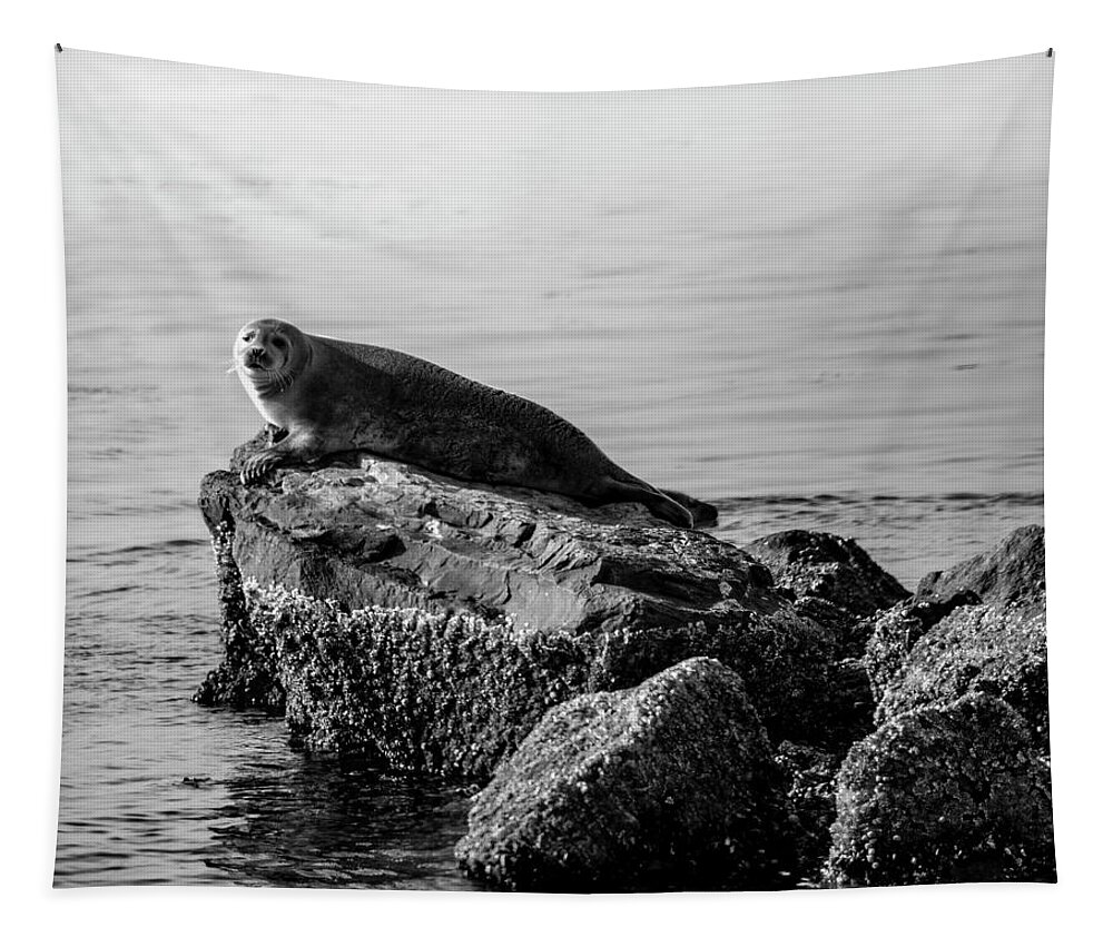 Harbor Seal Tapestry featuring the photograph Lifting Fog by Cathy Kovarik