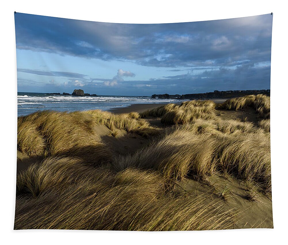 Bandon Tapestry featuring the photograph Light on the Beach Grass by Robert Potts