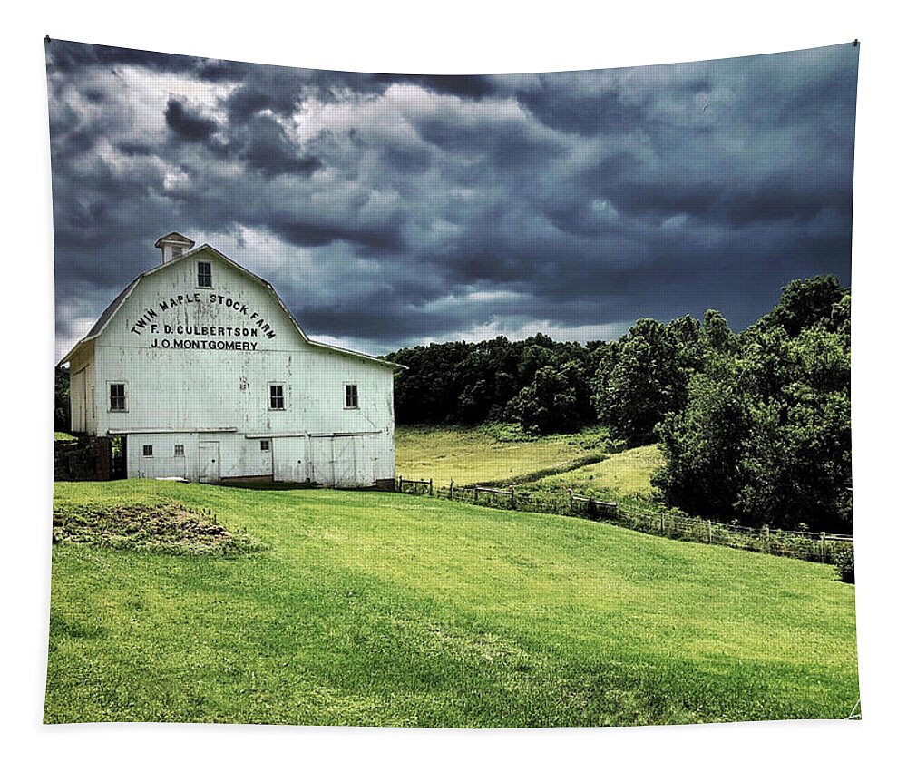 Rural Tapestry featuring the photograph Light Overcoming The Dark by Andrea Platt