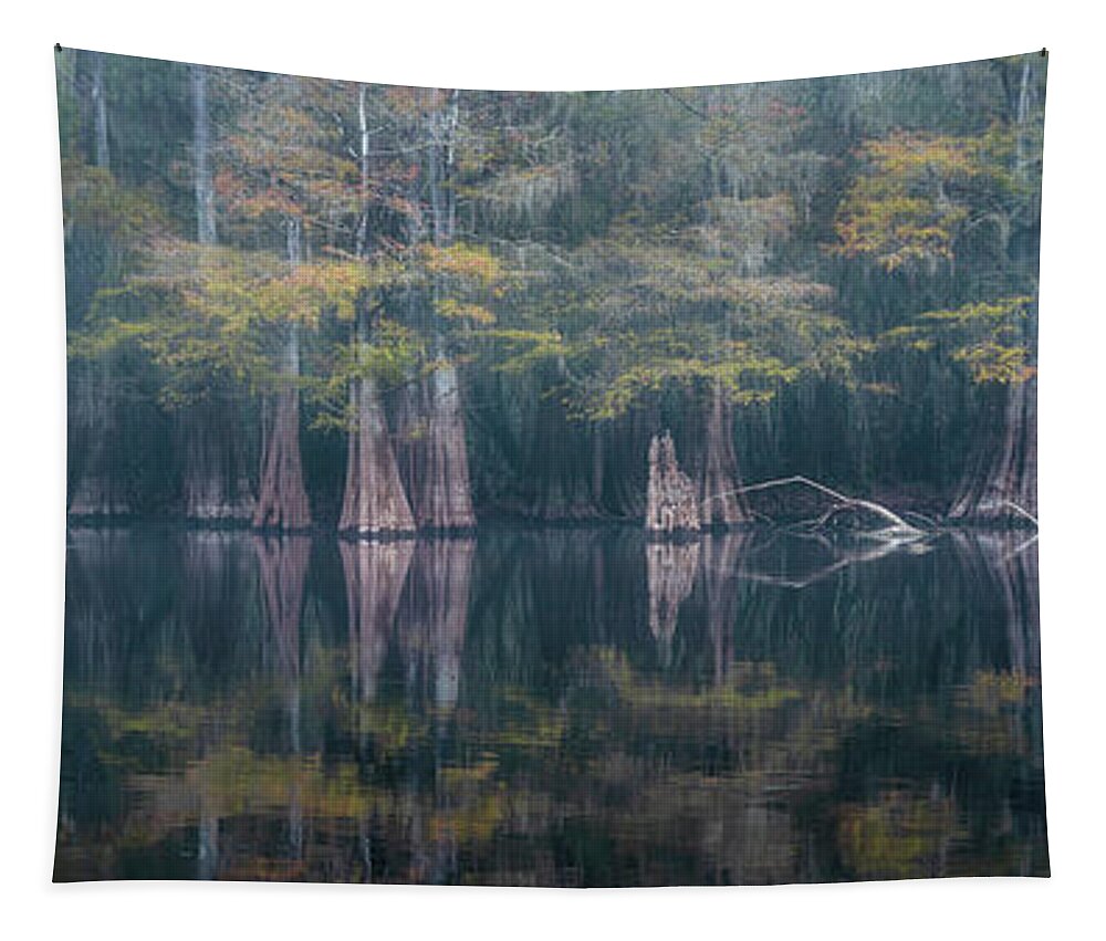 Abstract Tapestry featuring the photograph Line of Cypress in Fog - Panorama by Alex Mironyuk
