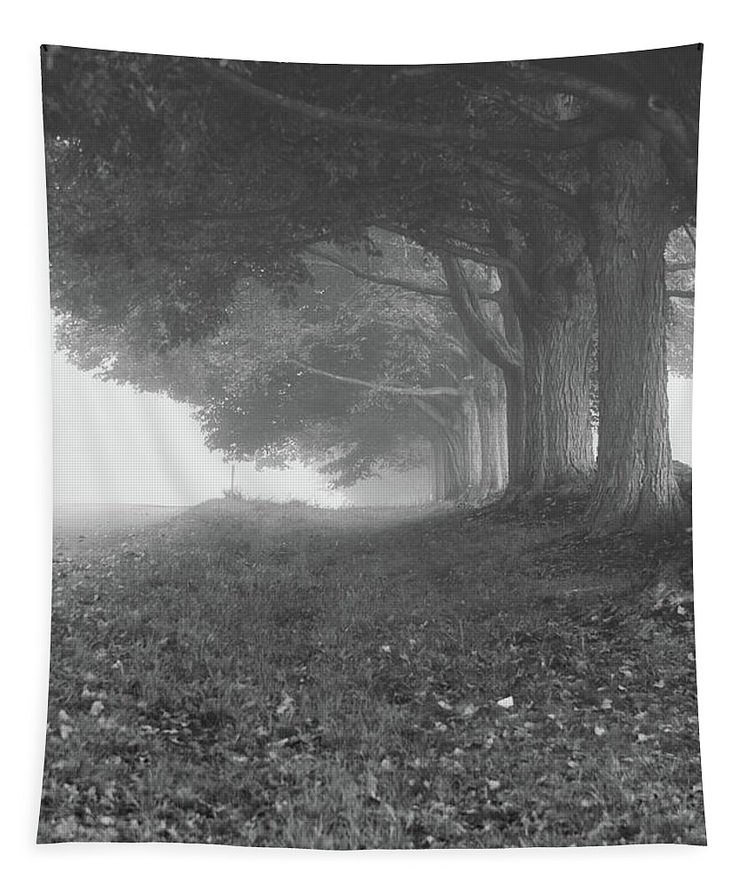 Morning Tapestry featuring the photograph Line Up by David Pratt
