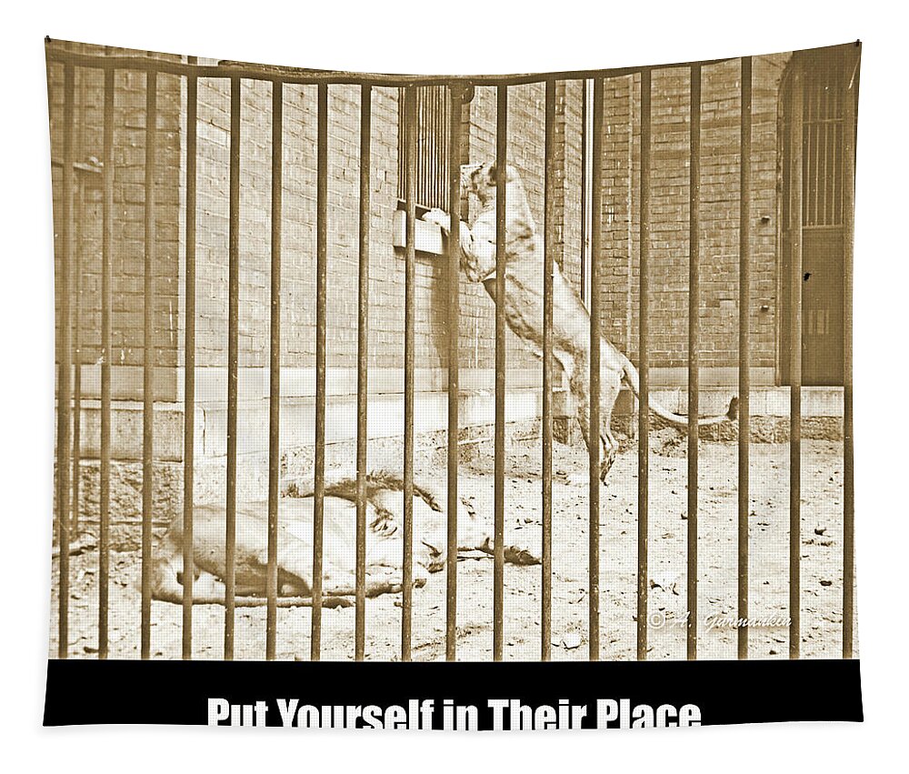 Lion Tapestry featuring the photograph Lion Cage, Carnivore House, Philadelphia Zoo, c. 1900 by A Macarthur Gurmankin