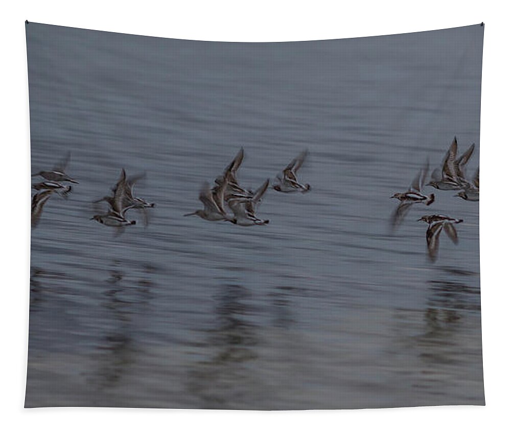 Birds Tapestry featuring the photograph Little birds flying, Cancun, Mexico by Julieta Belmont