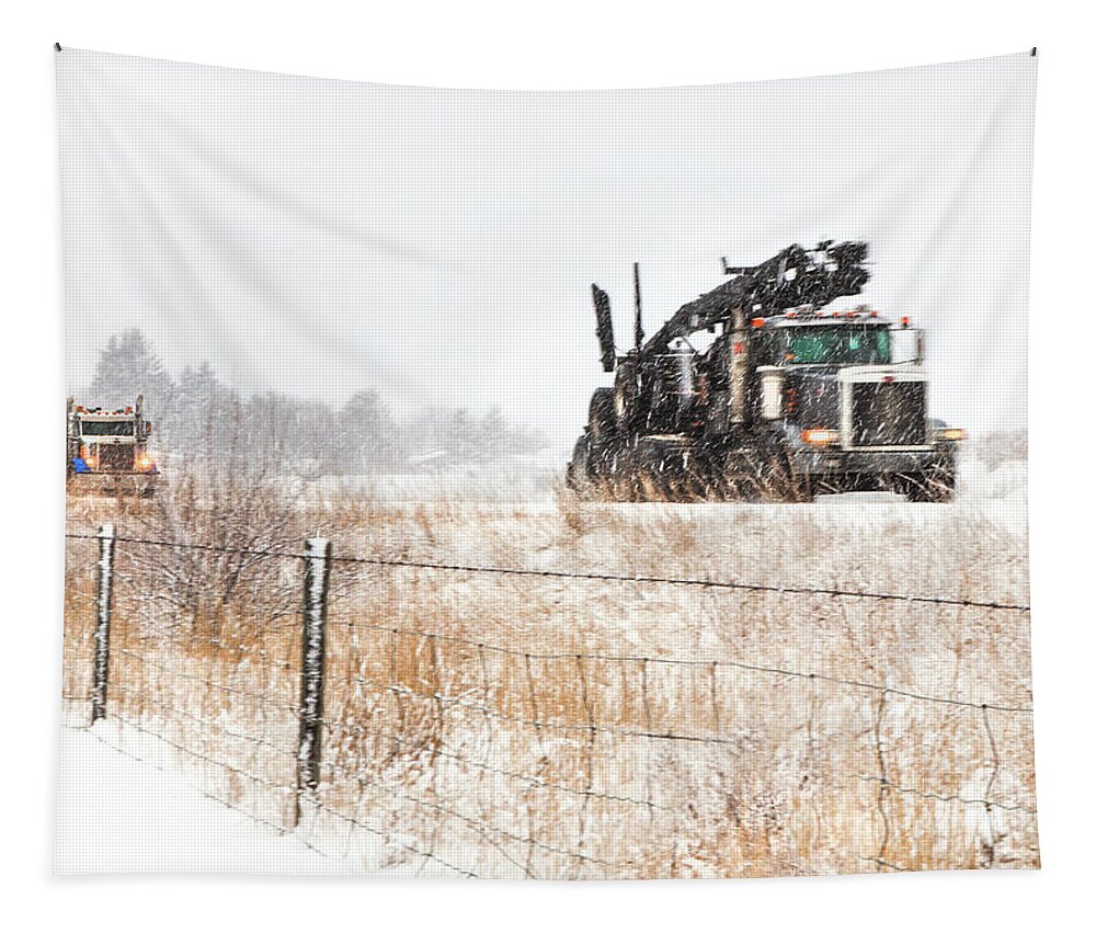  Trucks Tapestry featuring the photograph Logging Truck by Theresa Tahara