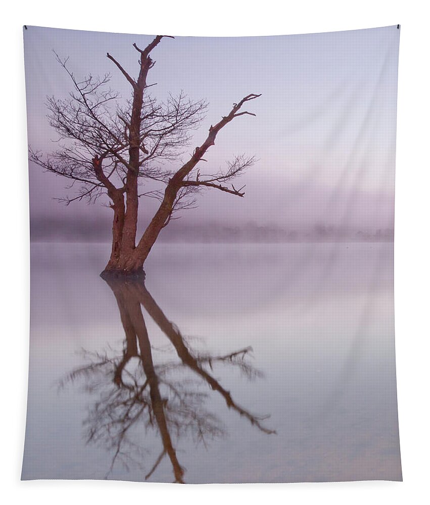 Landscape Tapestry featuring the photograph Lone tree in still lake in the mist at sunrise by Anita Nicholson