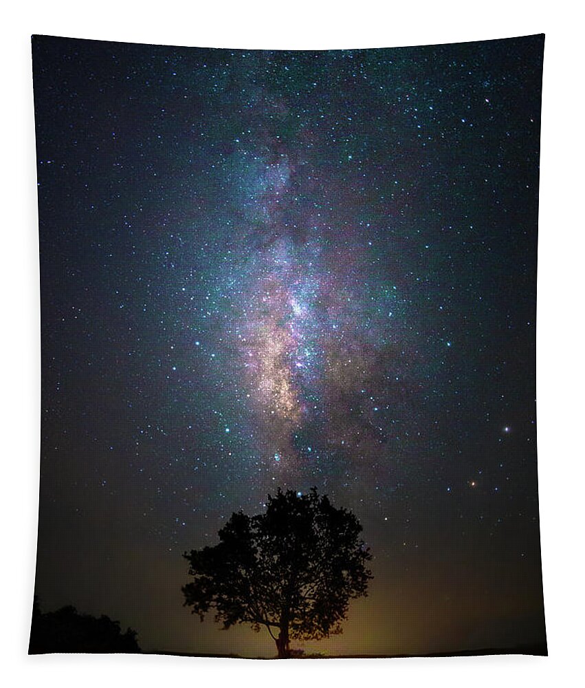 Milky Way Tapestry featuring the photograph Lone Tree Milky Way by Mark Andrew Thomas