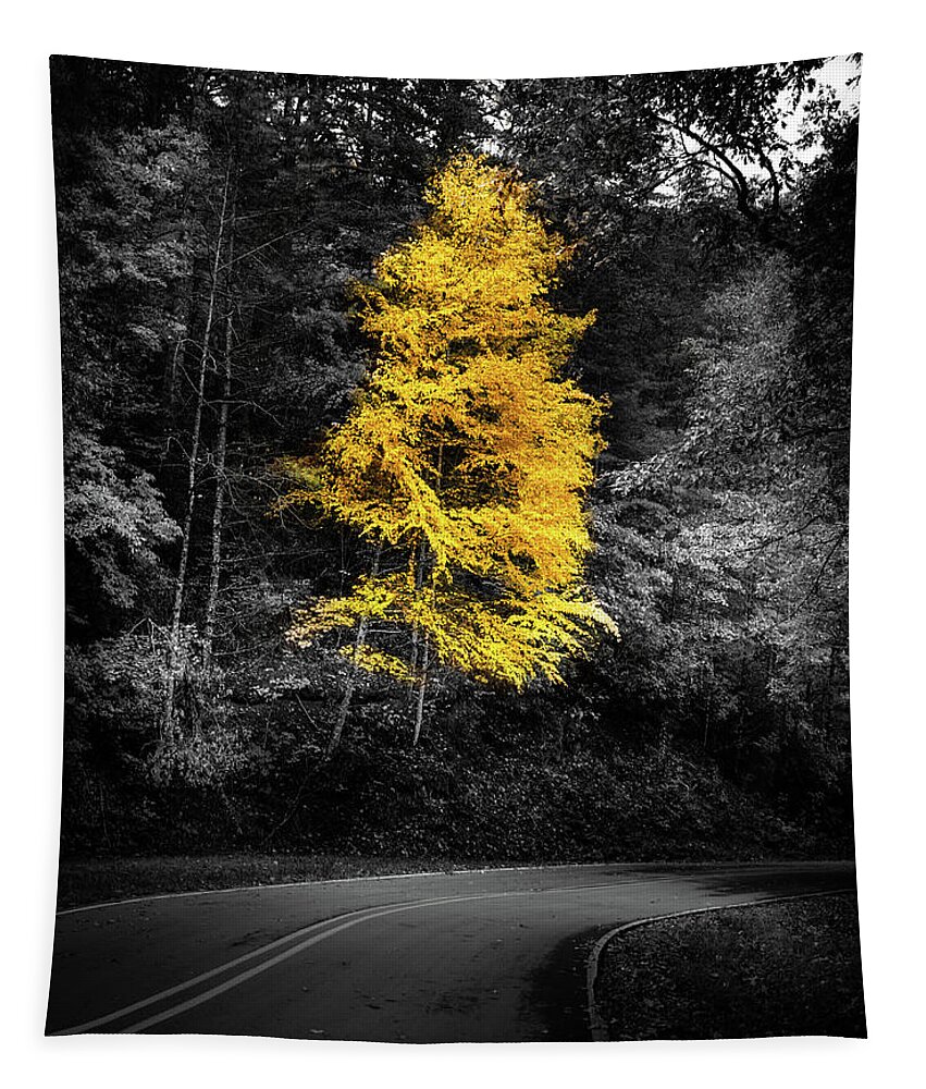 Cherokee County Tapestry featuring the photograph Lone Yellow Tree In The Curve by Greg and Chrystal Mimbs