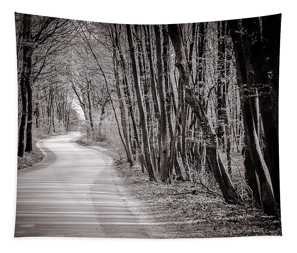 Europe Tapestry featuring the photograph Long and Winding Road - Black and White by Tito Slack