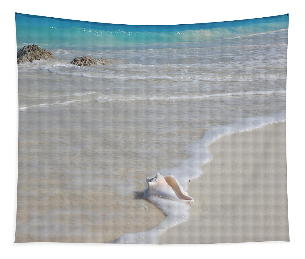 Tide Tapestry featuring the photograph Look what the tide washed in by Patricia Caron