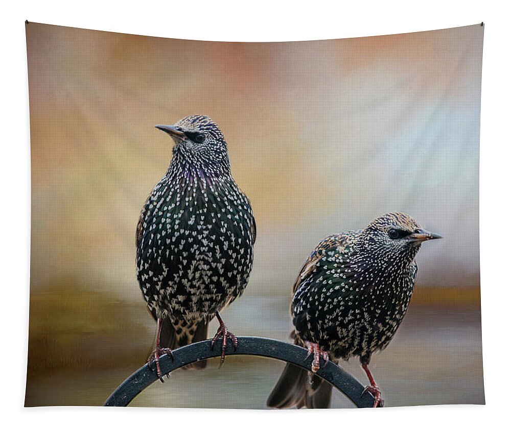 Birds Tapestry featuring the photograph Looking Out by Cathy Kovarik
