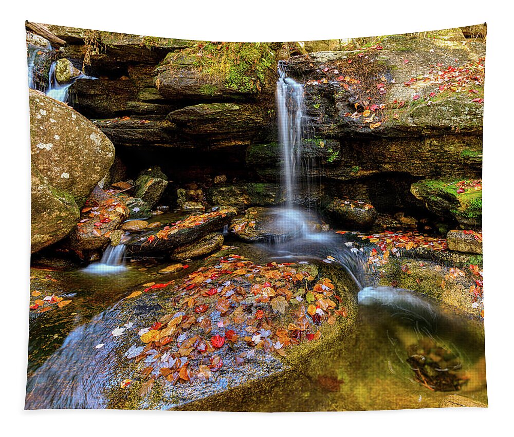 Diana's Baths; New Hampshire; New England; Waterfall; Falls; Autumn; Fall; Season; Color; Colorful; Leaves; Rocks; Romantic; Love; Heart; Beat; Relationship; Tender; Emotion; Desire; Landscape; Rob Davies; Photography; Conway; No Person Tapestry featuring the photograph Love Heart by Rob Davies