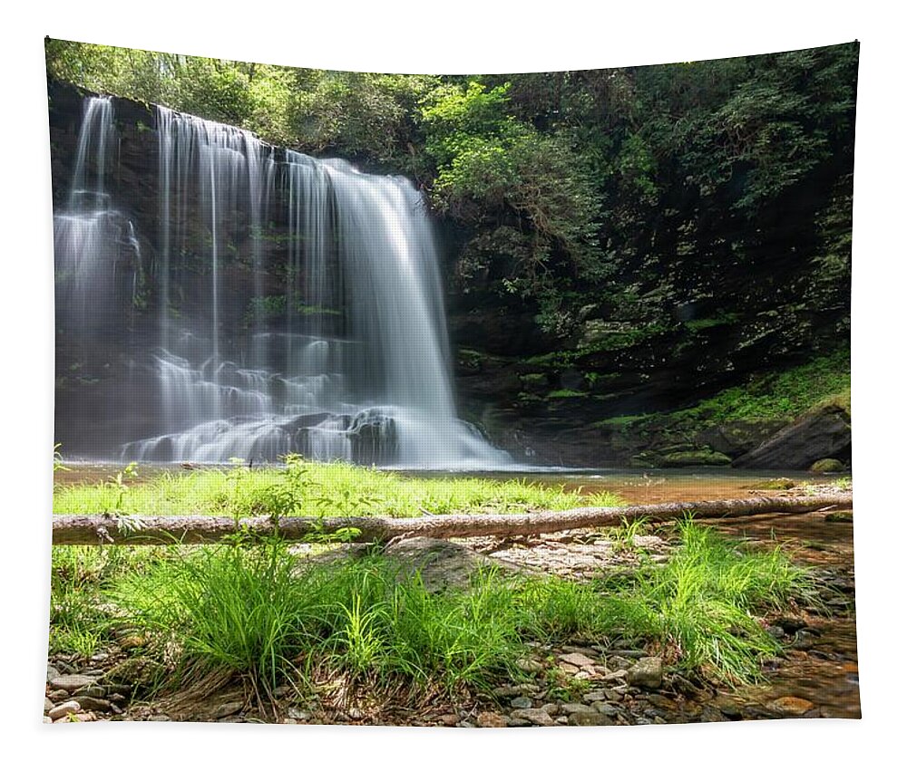 Landscape Tapestry featuring the photograph Lower Bearwallow Falls by Chris Berrier