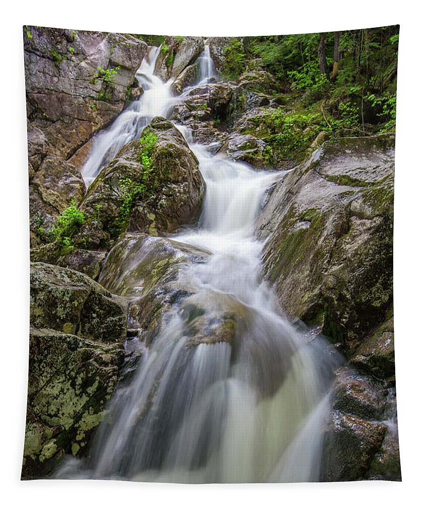 Lower Tapestry featuring the photograph Lower Gibbs Falls by White Mountain Images